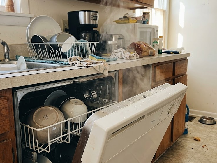 dishwasher filter